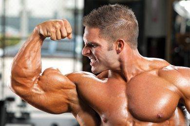 Top Best Places to Purchase Steroids You Should Know About