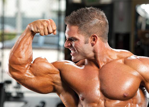 Top Best Places to Purchase Steroids You Should Know About