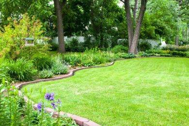 Maintain Your Garden Edging