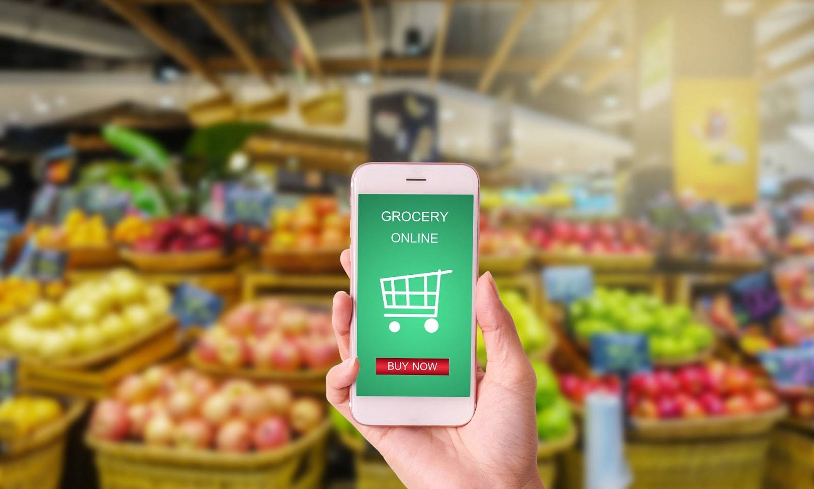 buy grocery online