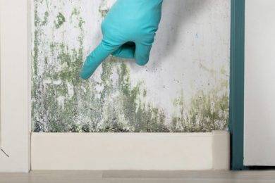 Mold in Your Home