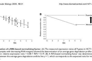 Factors That Contributes to a Successful RNA Quantification