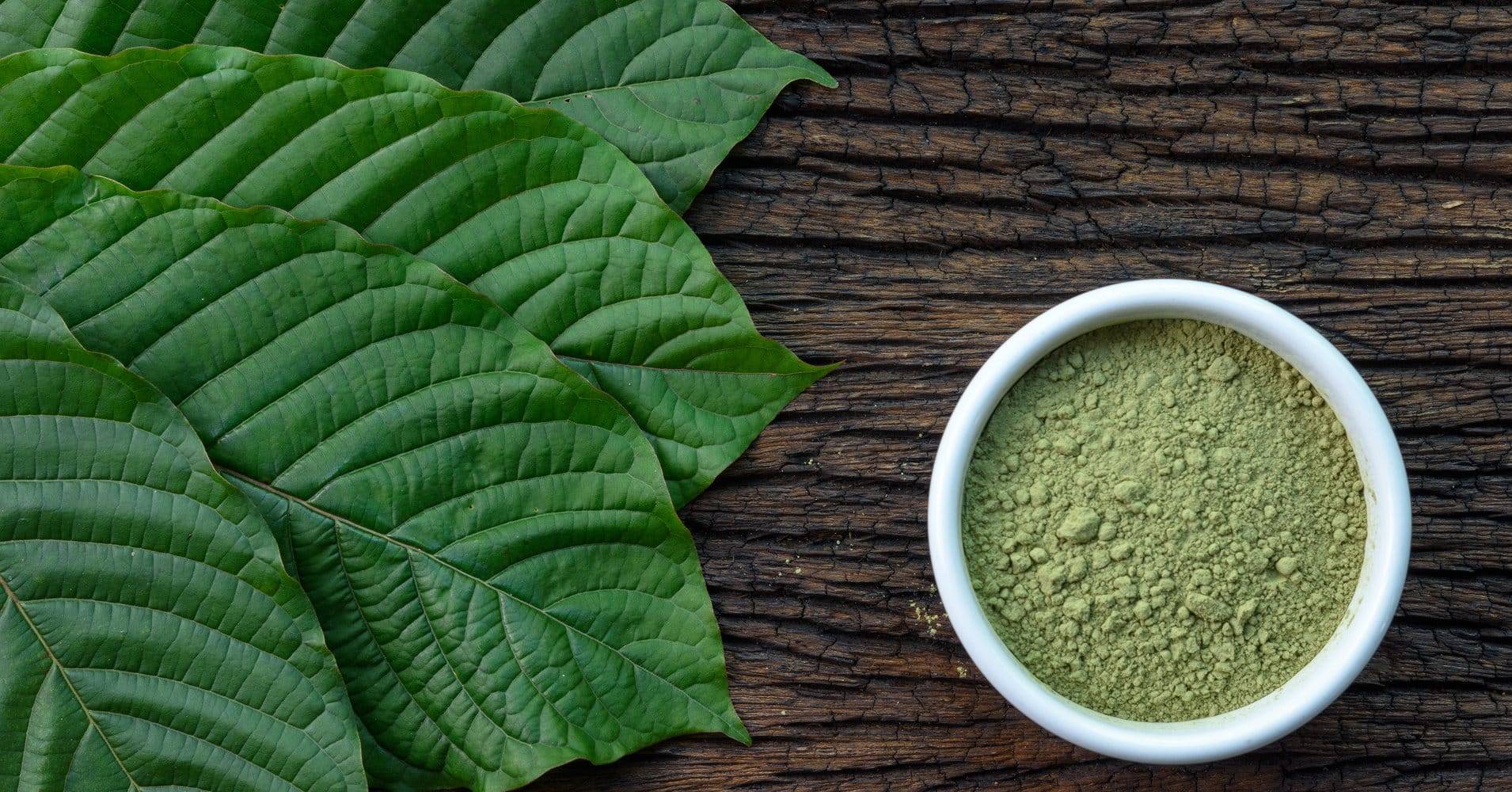 WHAT MAKES A NORMAL KRATOM VENDOR SUCCESSFUL AND LOVEABLE