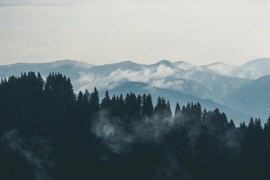 Smoky Mountains