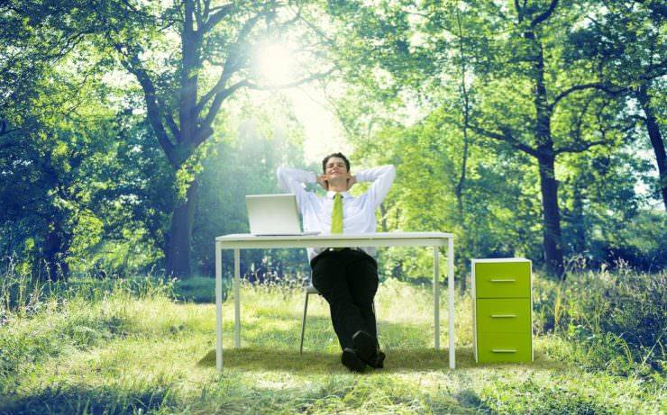 How your business can go green