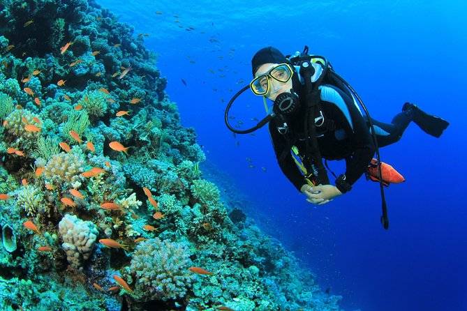Deep Dive: Michael Van Eaton Splashes Down 5 Places to Scuba Dive in the U.S.  
