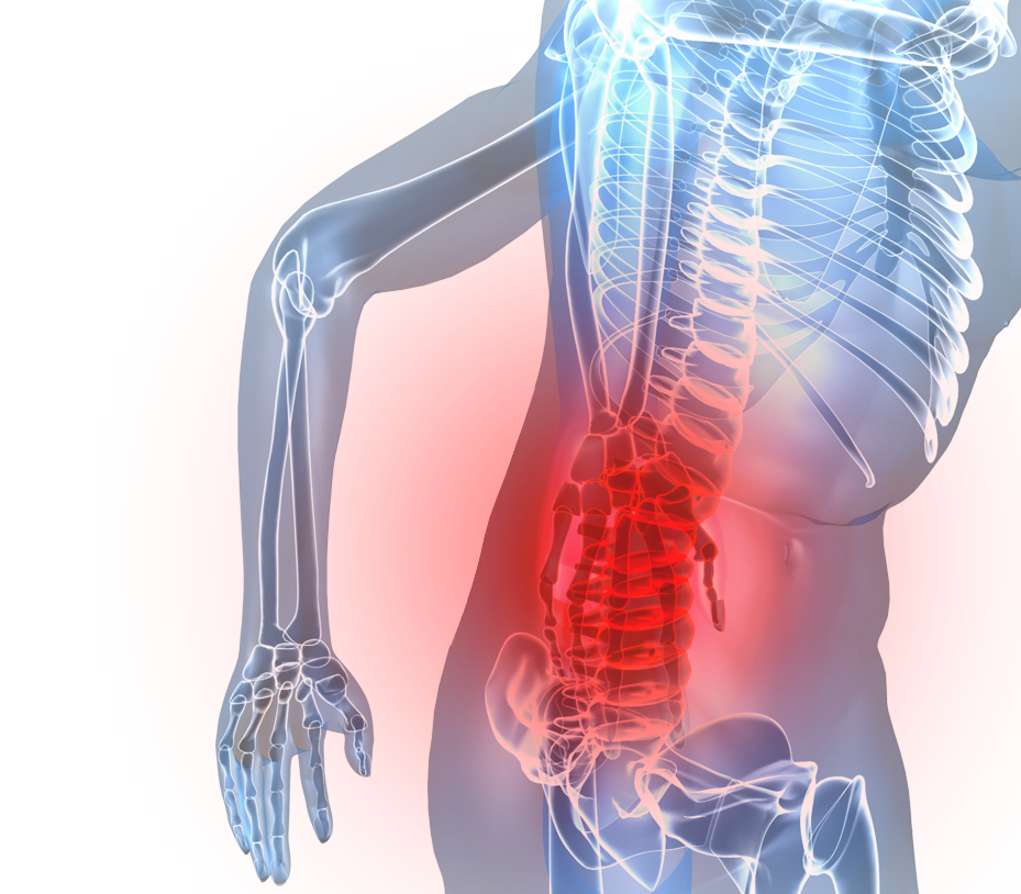 Spinal Cord injury Treatment