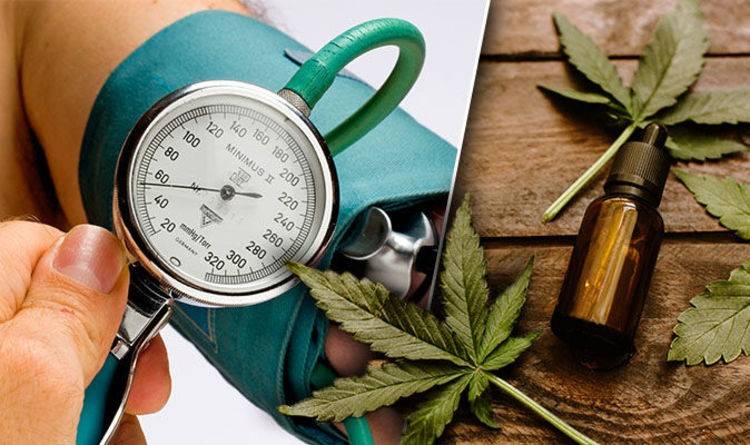 What is High Blood Pressure and Can CBD Help?