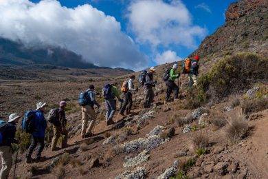 7 Breathtaking Reasons to Join a Kilimanjaro Tour