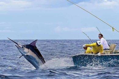 All you need to know about Sea Fishing Tips and Secrets