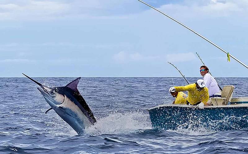 All you need to know about Sea Fishing Tips and Secrets
