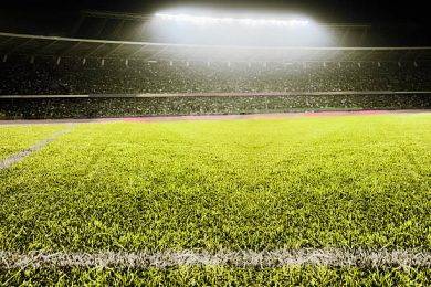 Owning and Maintaining Your Own Sports Field