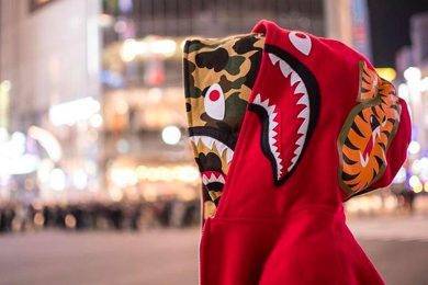 Bape Hoodie