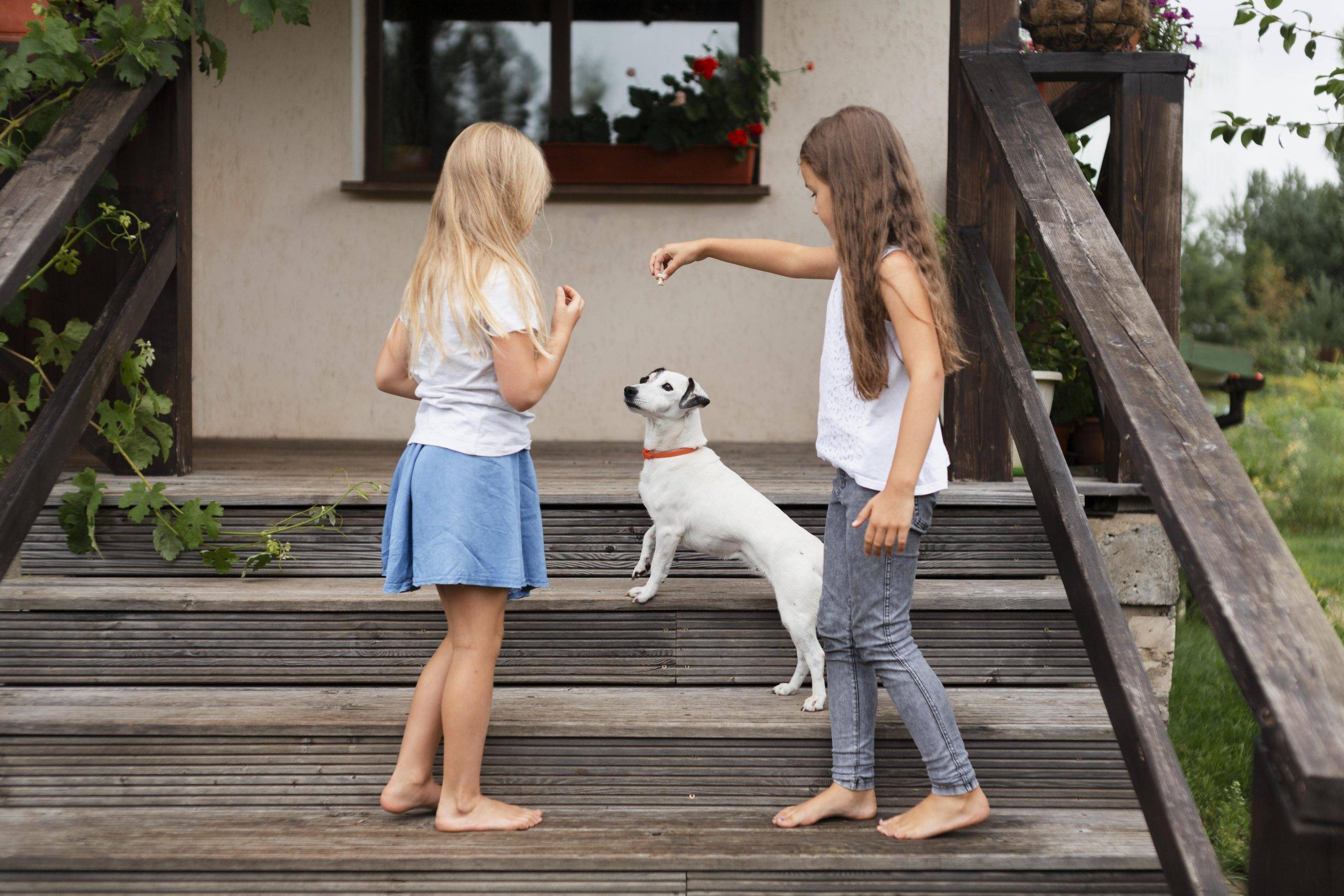 The Dos and Don'ts of Raising a Pet with Children