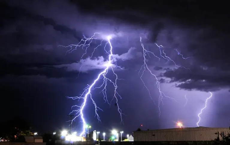 Storm Hardening Gearing Up the Grid for Nature's Fury