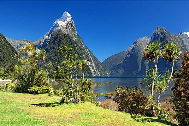 Tourists in New Zealand