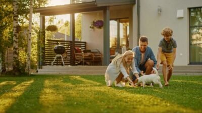 Property-perception-and-valuations